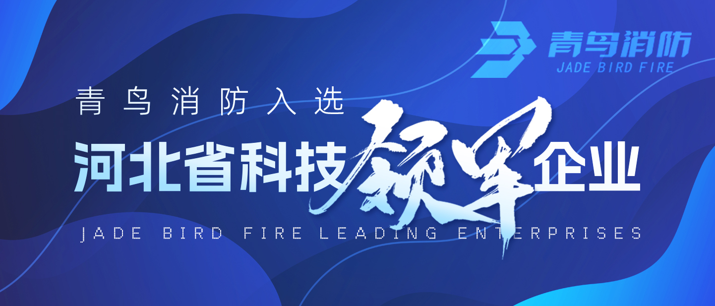 KOK体育（中国）官方网站在线下载
消防入选河北省科技领军企业！